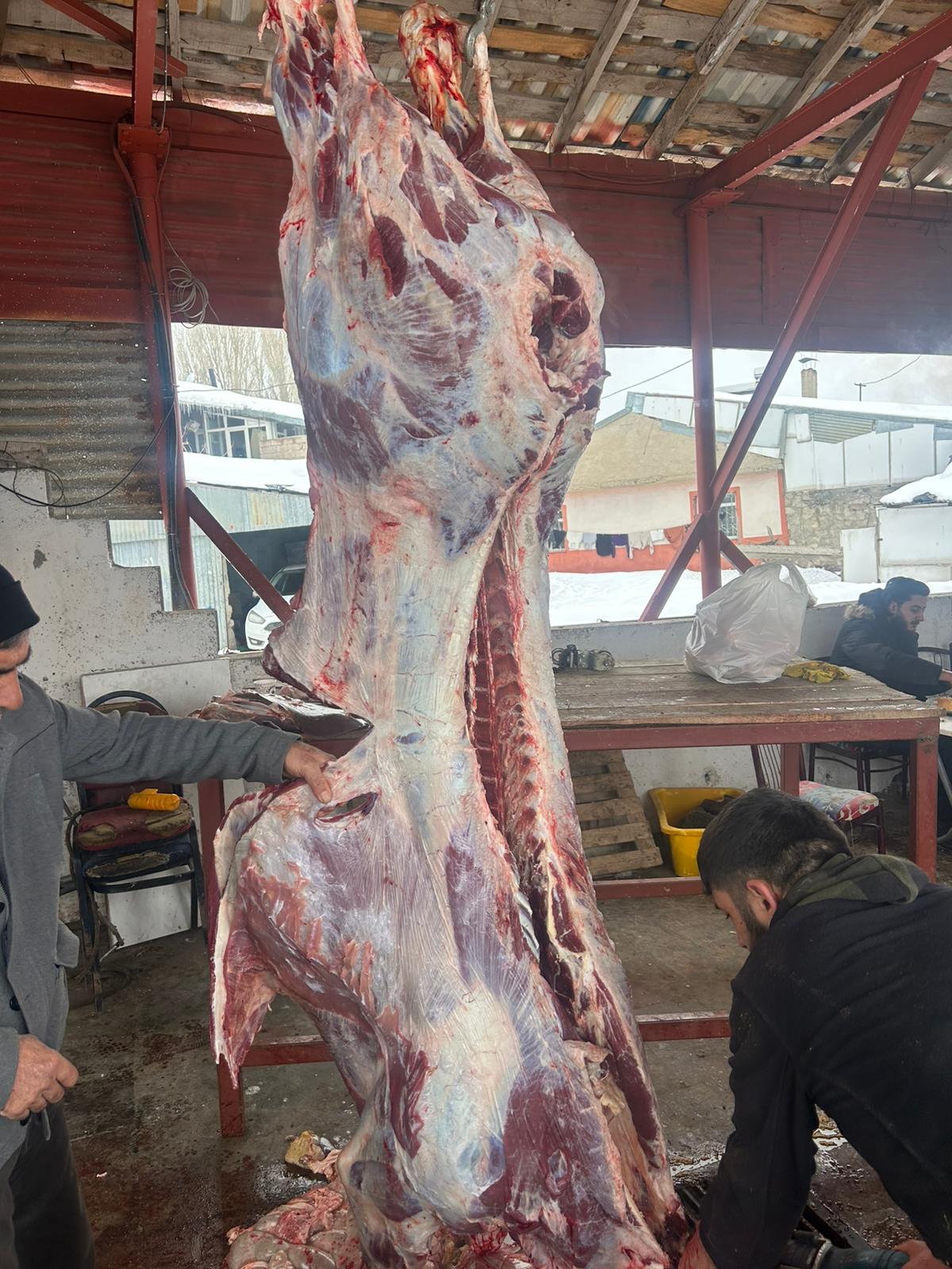 Kanarya Hayvancılık